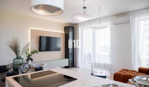 Rent Two bedroom apartment, Two bedroom apartment, Bratislava - Petrža