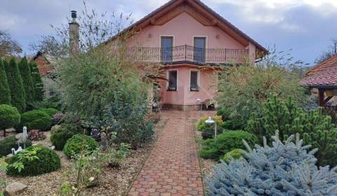 Sale Cottage, Cottage, Zlaté Moravce, Slovakia