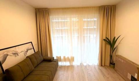 Rent Single studio, Single studio, Fialová, Bratislava - Petržalka, Sl