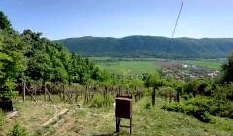 Sale Vineyards, Vineyards, Rožňava, Slovakia