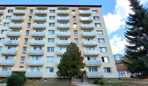 Sale Two bedroom apartment, Two bedroom apartment, Centrum I., Ilava, 