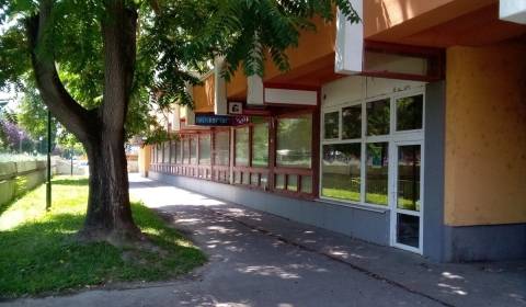 Rent Commercial premises, Commercial premises, Rajecká, Bratislava - V