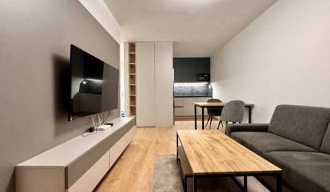 Rent One bedroom apartment, One bedroom apartment, Bratislava - Petrža