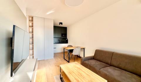 Rent One bedroom apartment, One bedroom apartment, Bratislava - Petrža