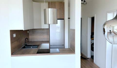 Rent One bedroom apartment, One bedroom apartment, Labutia, Bratislava