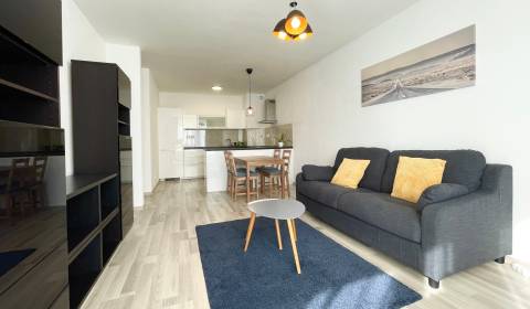 Rent One bedroom apartment, One bedroom apartment, Béžová, Bratislava 