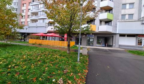 Rent Commercial premises, Commercial premises, Fedinova, Bratislava - 