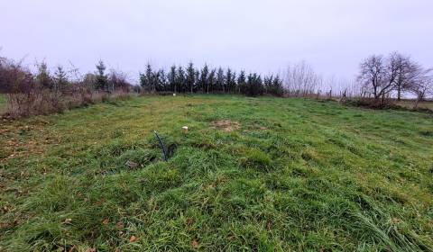 Sale Land – for living, Land – for living, Sľažany, Zlaté Moravce, Slo