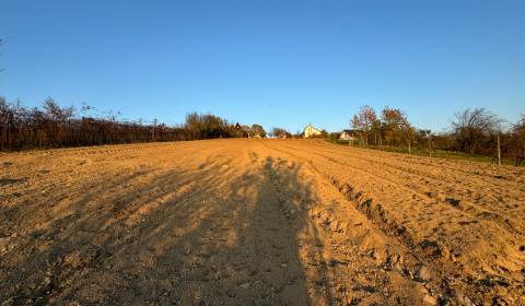 Sale Land – for living, Land – for living, Levice, Slovakia