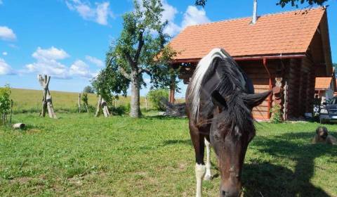 Sale Cottage, Cottage, Krupina, Slovakia