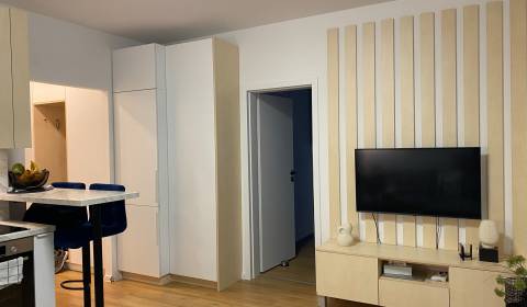 Sale Double-studio, Double-studio, Šustekova, Bratislava - Petržalka, 