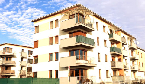 Sale One bedroom apartment, One bedroom apartment, Pod Párovcami, Pieš