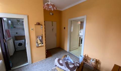 Sale One bedroom apartment, One bedroom apartment, Andreja Žarnova, Tr