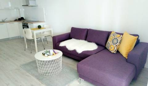 Rent One bedroom apartment, One bedroom apartment, Bratislava - Petrža