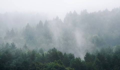 Sale Agrarian and forest land, Agrarian and forest land, Púchov, Slova