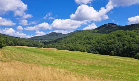 Sale Agrarian and forest land, Agrarian and forest land, Bardejov, Slo