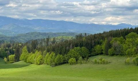 Sale Agrarian and forest land, Agrarian and forest land, Banská Bystri