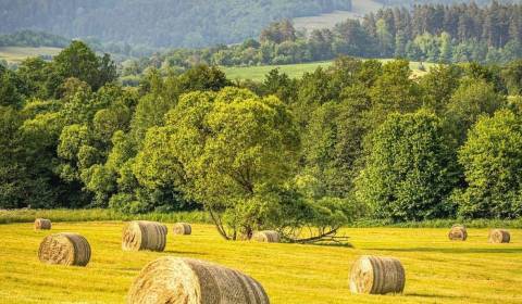 Sale Agrarian and forest land, Agrarian and forest land, Revúca, Slova