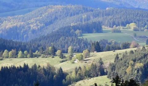 Sale Agrarian and forest land, Agrarian and forest land, Senica, Slova