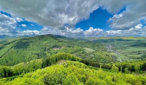 Sale Agrarian and forest land, Agrarian and forest land, Púchov, Slova