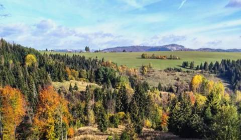 Sale Agrarian and forest land, Agrarian and forest land, Žilina, Slova