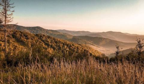 Sale Agrarian and forest land, Agrarian and forest land, Púchov, Slova