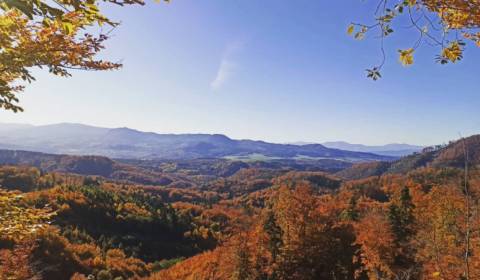 Sale Agrarian and forest land, Agrarian and forest land, Púchov, Slova