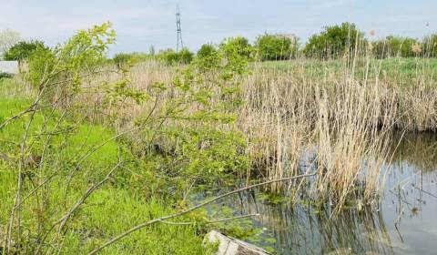 Sale Land – for living, Land – for living, Hadovce, Komárno, Slovakia