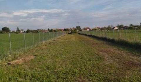 Sale Land – for living, Land – for living, Dunajská Streda, Slovakia