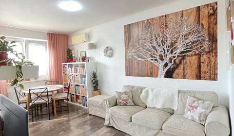 Rent Two bedroom apartment, Two bedroom apartment, Mederčská, Komárno,