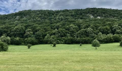 Sale Agrarian and forest land, Agrarian and forest land, Rožňava, Slov