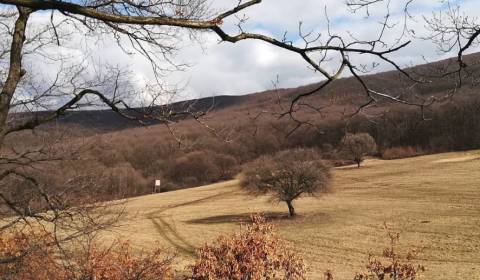 Sale Agrarian and forest land, Agrarian and forest land, Svidník, Slov