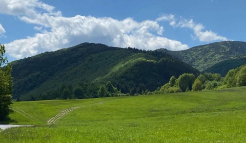 Sale Agrarian and forest land, Agrarian and forest land, Stará Ľubovňa