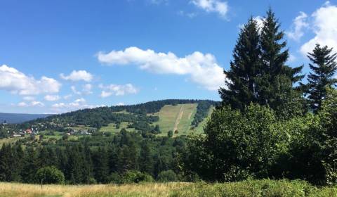 Sale Agrarian and forest land, Agrarian and forest land, Svidník, Slov