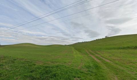 Sale Agrarian and forest land, Agrarian and forest land, Rimavská Sobo