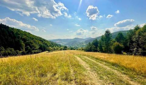 Sale Agrarian and forest land, Agrarian and forest land, Považská Byst