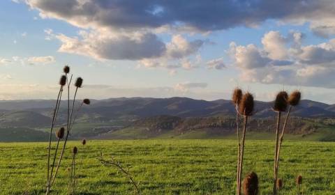 Sale Agrarian and forest land, Agrarian and forest land, Snina, Slovak