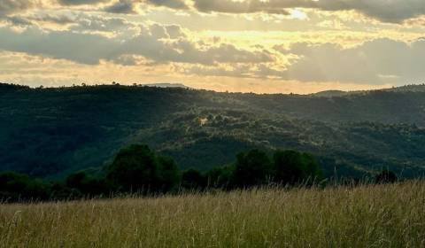 Sale Agrarian and forest land, Agrarian and forest land, Lučenec, Slov