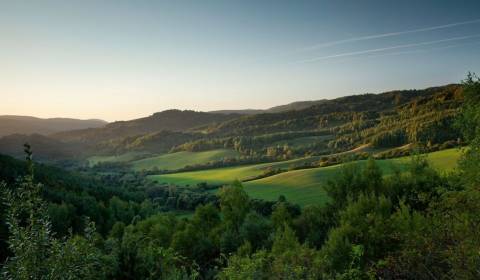 Sale Agrarian and forest land, Agrarian and forest land, Snina, Slovak