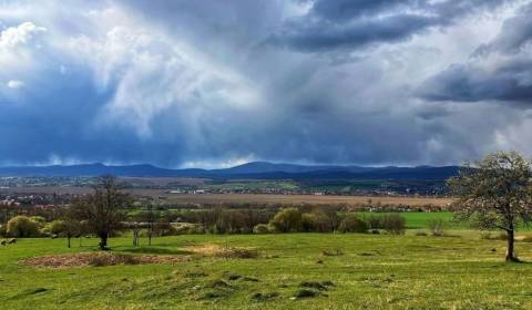 Sale Agrarian and forest land, Agrarian and forest land, Zlaté Moravce