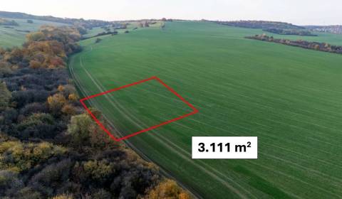 Sale Agrarian and forest land, Agrarian and forest land, Košice - Krás