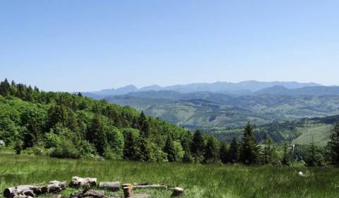 Sale Agrarian and forest land, Agrarian and forest land, Čadca, Slovak