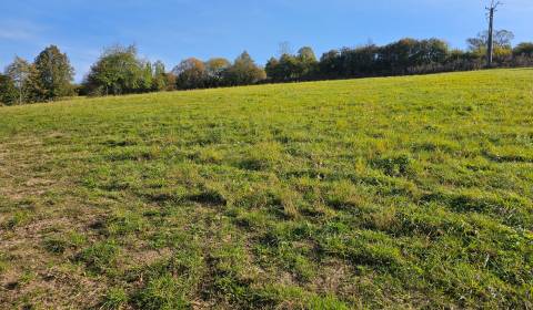 Sale Land – for living, Land – for living, Kežmarská, Levoča, Slovakia