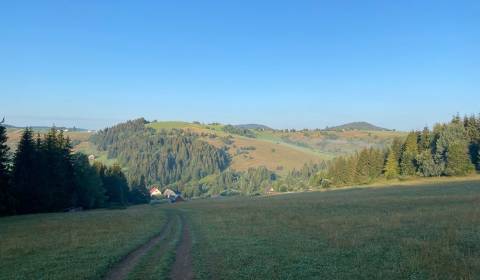 Sale Agrarian and forest land, Agrarian and forest land, Detva, Slovak