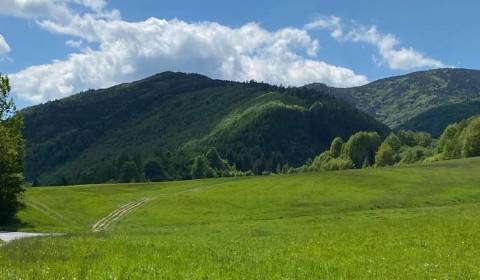 Sale Agrarian and forest land, Agrarian and forest land, Brezno, Slova