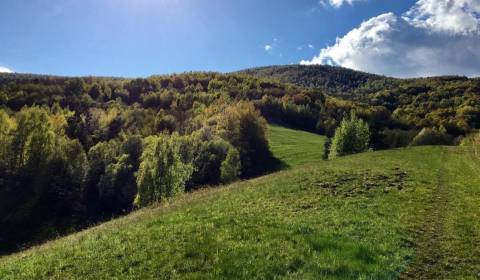 Sale Agrarian and forest land, Agrarian and forest land, Revúca, Slova