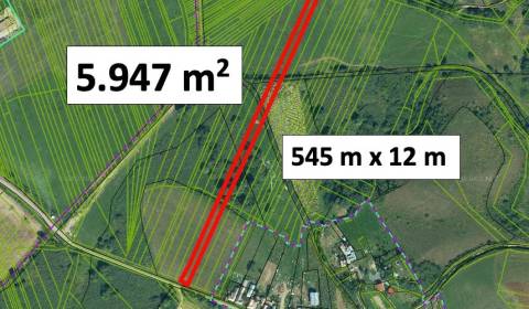 Sale Agrarian and forest land, Agrarian and forest land, Rimavská Sobo