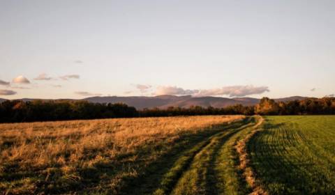 Sale Agrarian and forest land, Agrarian and forest land, Košice-okolie