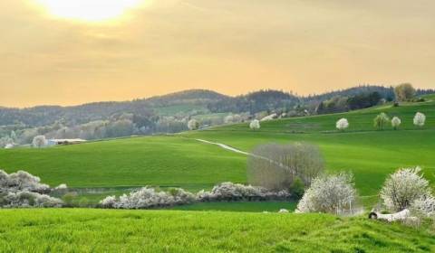 Sale Agrarian and forest land, Agrarian and forest land, Banská Bystri