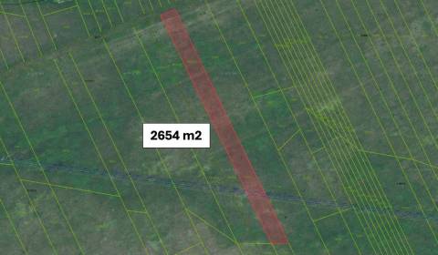 Sale Agrarian and forest land, Agrarian and forest land, Senica, Slova